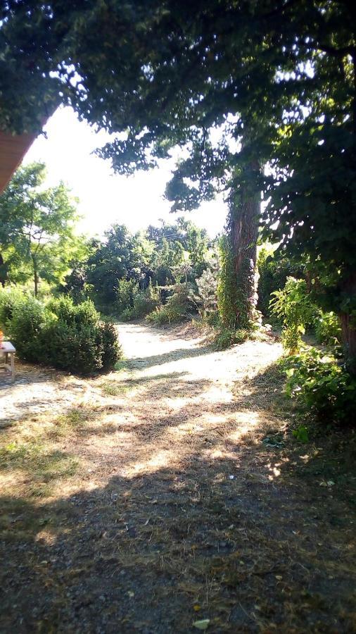 Twoj Azyl Villa Świdnik Exteriör bild