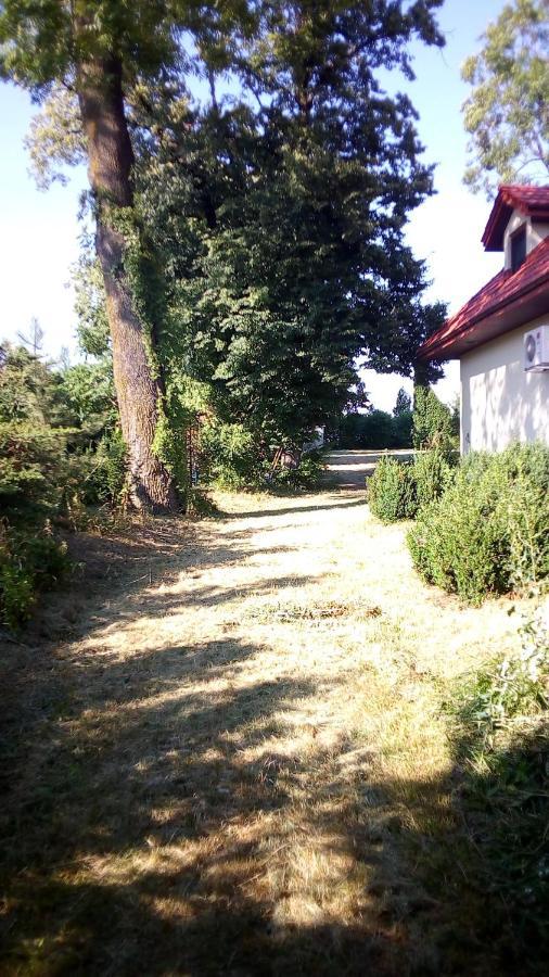 Twoj Azyl Villa Świdnik Exteriör bild
